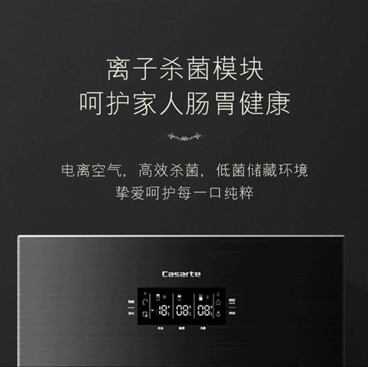 卡萨帝（Casarte）冰吧LC-220JE 商品图8