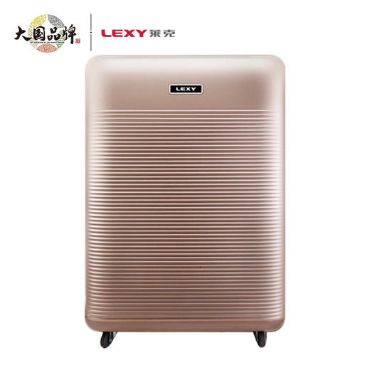 莱克（LEXY）除湿机 DH200 家用大风量净化型地下室除潮吸湿抽湿机干衣机 商品图1