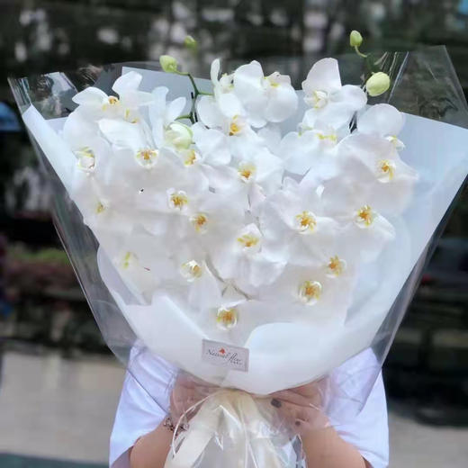 《蝴蝶飞飞》蝴蝶兰花束，下单备注图几的颜色哦 商品图6