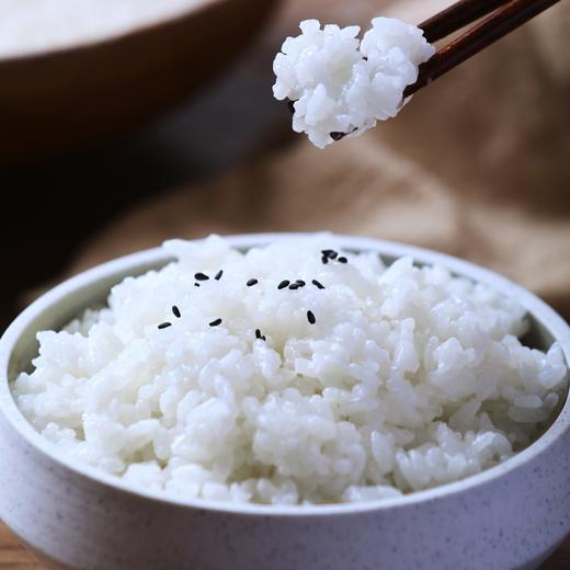 [最农公社]特惠主推|光明海丰优选米香糯米买10斤送10斤（数量有限售完恢复原价） 商品图4