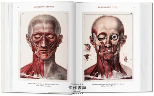 Bourgery. Atlas of Human Anatomy and Surgery 人体解剖与外科手术图集 原版画册 Taschen图书馆系列 商品图3