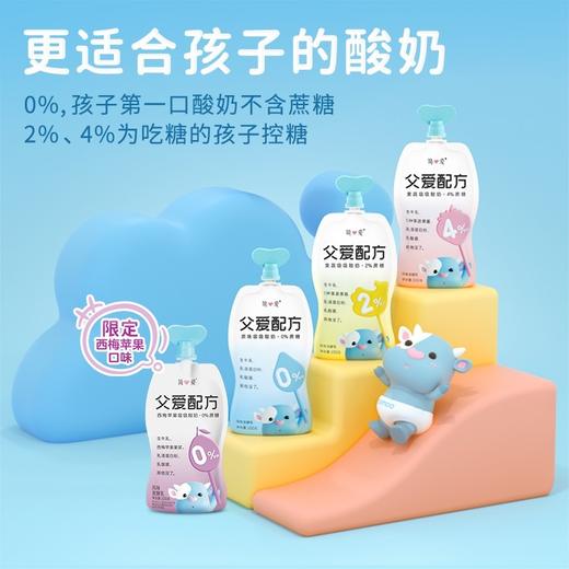 简爱父爱配方风味发酵乳（100克） 商品图2