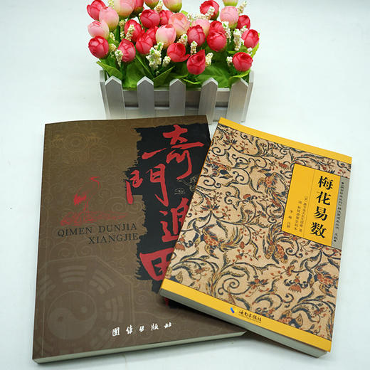 【优惠套装】 奇门遁甲详解+梅花易数（共2册）/白话精解周易本义译注六爻玄机沈氏玄空学全书易经大全阴阳五要纳甲筮法预测学 商品图3