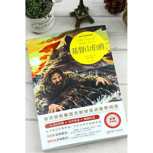 【正版】世界文学名著拓展阅读一基督山伯爵（名师导读版）名师解析专注青少年品质养成名师推荐 语文推荐课外阅读书籍 商品图2