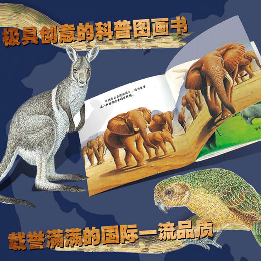 濒临危机的动物 透视眼系列 发现丛书 科学科普教育 认识濒临危机的动物儿童读物教育绘本 商品图3
