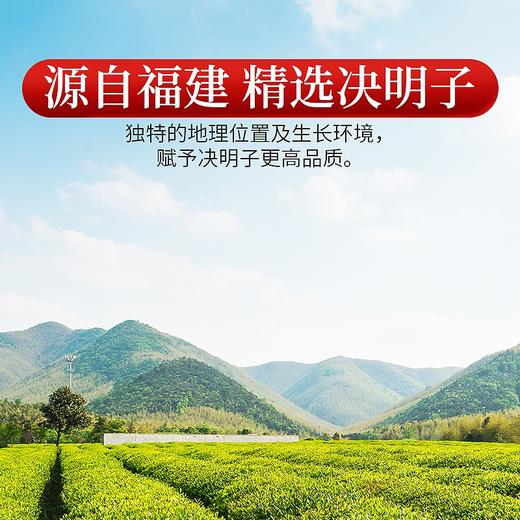 庄民 决明子 大颗粒炒熟 无杂质精选好货 茶叶花草茶270g/罐 商品图5