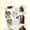 《自然观察笔记（第三届）》《自然观察笔记125例——培养板报小能手》（共2册） 商品缩略图10