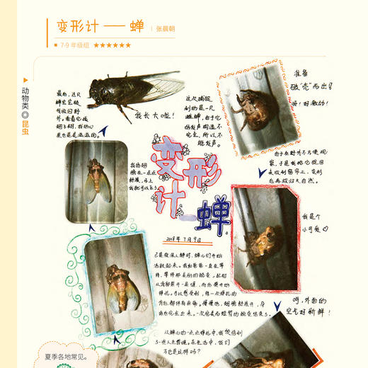 《自然观察笔记（第三届）》《自然观察笔记125例——培养板报小能手》（共2册） 商品图10