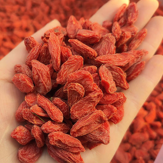 西域皇后新疆免洗枸杞 商品图4