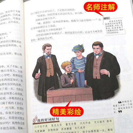 【正版】世界文学名著拓展阅读一汤姆·索亚历险记（名师导读版）中小学生阅读书单中小学必读名著课外书 商品图2