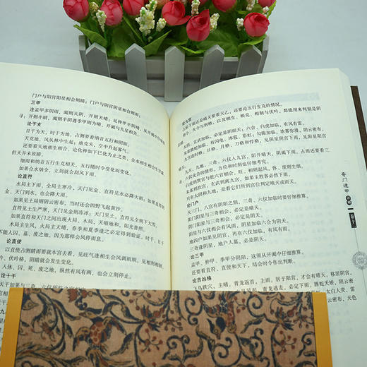 【优惠套装】 奇门遁甲详解+梅花易数（共2册）/白话精解周易本义译注六爻玄机沈氏玄空学全书易经大全阴阳五要纳甲筮法预测学 商品图2