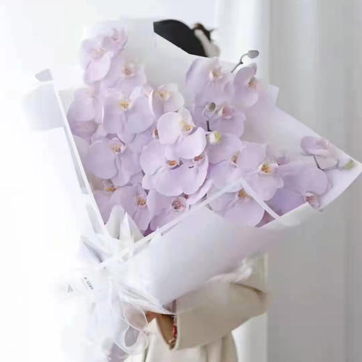 《蝴蝶飞飞》蝴蝶兰花束，下单备注图几的颜色哦 商品图0