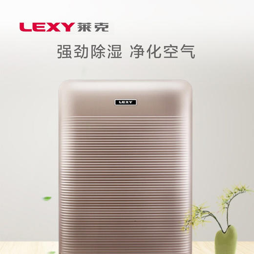 莱克（LEXY）除湿机 DH200 家用大风量净化型地下室除潮吸湿抽湿机干衣机 商品图2