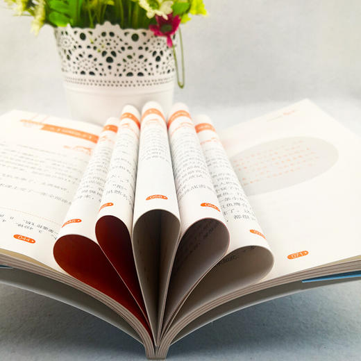 【优惠套装】新版作文指导报 有趣味的语文5册 小学语文阅读重点读本7-12岁小学生课外阅读1-6年级必读词语宝宝大战句子国故事书 商品图4