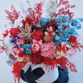 《绚烂》抱抱桶