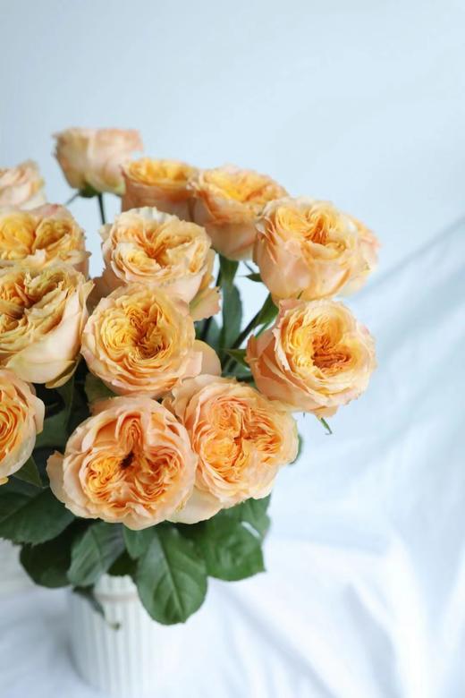 【周四秒杀】暴风女神十枝59.8元 商品图2