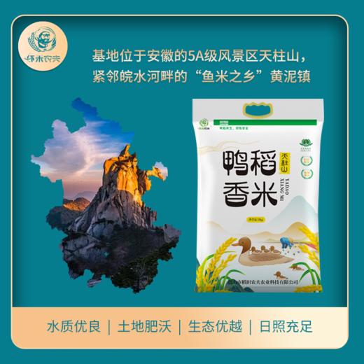 虾米农夫|鸭稻香米5KG（漏气属正常现象） 商品图0