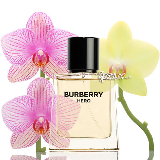 博柏利 骏勇之心 淡香水 Burberry Hero 小样/正装 商品图0