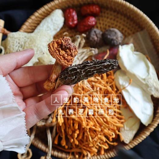 九养芝菌汤包 商品图2