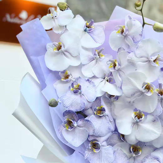 《蝴蝶飞飞》蝴蝶兰花束，下单备注图几的颜色哦 商品图7