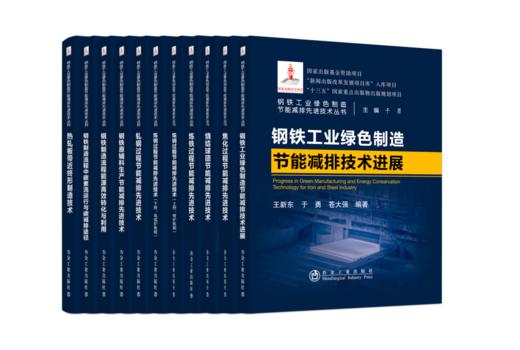 钢铁工业绿色制造节能减排先进技术丛书-10册11本 商品图0