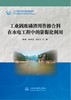 工业固废磷渣用作掺合料在水电工程中的资源化利用（长江治理与保护科技创新丛书） 商品缩略图0