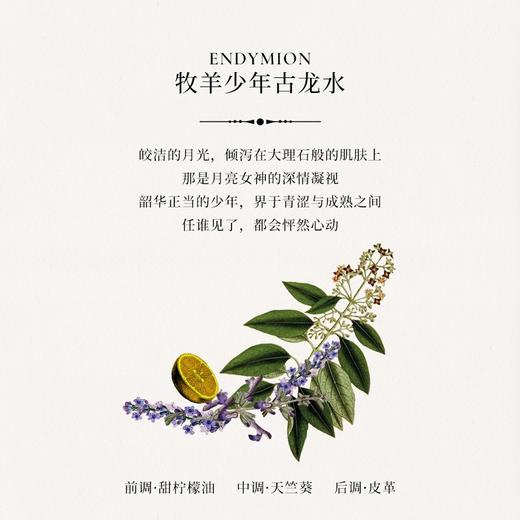 英国 Penhaligons潘海利根 牧羊少年花香古龙男士香水 30ml/100ml 商品图1