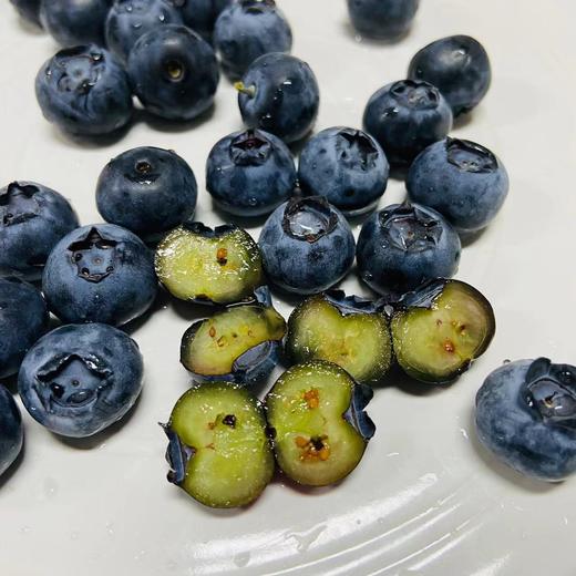 丨有机丨泊里蓝莓 基地现摘发货  蓝莓老爹16年的坚持 商品图2