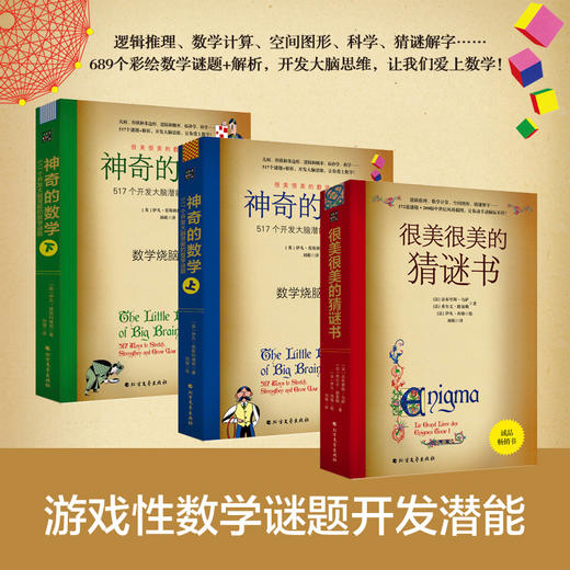神奇的数学 很美很美的猜谜书10-15岁中小学生益智课外读物书提高孩子数学空间逻辑思维能力猜谜解字开发脑力创造力想象力 商品图1