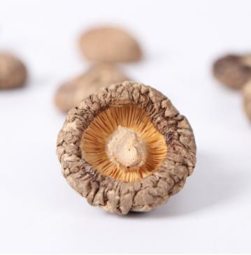 燕之坊 无根香菇 150g*1袋 商品图2