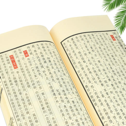 崇贤馆藏书 新书香传家《人间词话》（一函二册） 商品图2