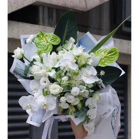 《绿之韵》绿掌蝴蝶兰花束