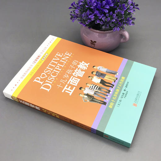 正版包邮 十几岁孩子的正面管教 简·尼尔森著 10-18岁青春期叛逆期孩子好教养好家教家庭教育育儿百科 商品图1