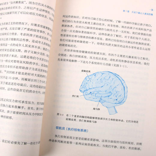 新华书店 樊登推荐 自驱型成长如何科学有效培养孩子的自律正面管教正版父母的语言你就是孩子好的玩具家庭教育儿书籍父母读 商品图3