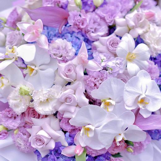《会唱歌的紫精灵》高档蝴蝶兰郁金香紫色系韩式花束 商品图7