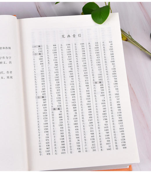 【优惠套装】全3册中国书法大字典行书大字典草书隶书大字典王羲之书法全集甲骨文金文大篆小篆毛笔字帖练字工具书书法爱好者学校师生用书 商品图4