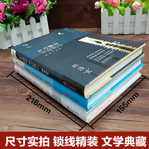 【优惠套装】共3册林清玄散文选集全套正版包邮 林清玄的书 含岁月静好 不忘初心等经典 散文随笔书籍 畅销书排行榜 人生美是清欢 商品图2