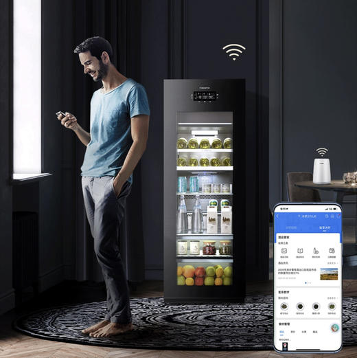 卡萨帝（Casarte）冰吧LC-220JE 商品图12