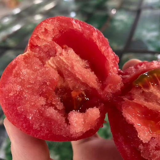 普罗旺斯西红柿