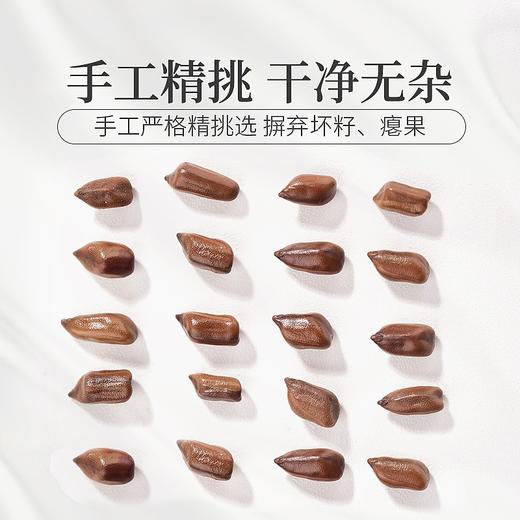 庄民 决明子 大颗粒炒熟 无杂质精选好货 茶叶花草茶270g/罐 商品图4