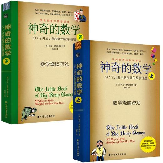 神奇的数学 很美很美的猜谜书10-15岁中小学生益智课外读物书提高孩子数学空间逻辑思维能力猜谜解字开发脑力创造力想象力 商品图3