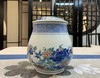 涂杏花:斗彩牡丹花蝶盖罐 商品缩略图0