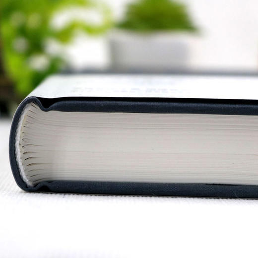 【正版】 博弈论一高级思维和生存策略（精装）励志与成功 智力与谋略 囚徒困境 纳什均衡 智猪博弈 枪手博弈 畅销书籍排行榜 商品图2