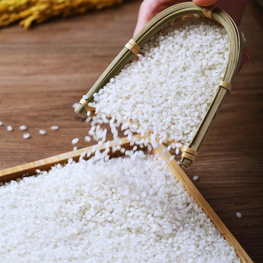 [最农公社]特惠主推|光明海丰优选米香糯米买10斤送10斤（数量有限售完恢复原价） 商品图5