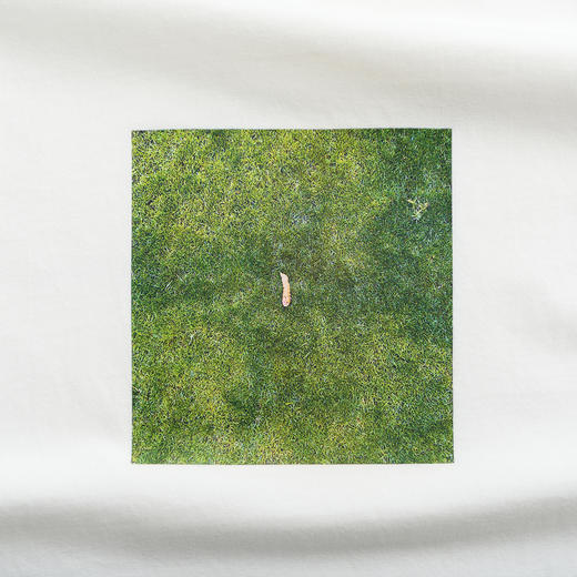 吃茶去chichaqu全棉T恤perfect day 商品图4