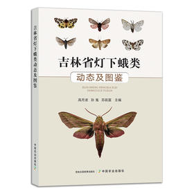 官方正版 吉林省灯下蛾类动态及图鉴 9787109286313 蛾子 夜蛾 飞蛾