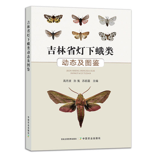 官方正版 吉林省灯下蛾类动态及图鉴 9787109286313 蛾子 夜蛾 飞蛾 商品图0