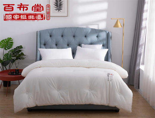 （乡村振兴商品）百布堂原棉大豆春秋被 200*230 商品图4