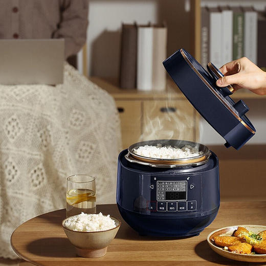 松下（Panasonic）2L迷你智能电压力锅 多功能可预约电压力煲 开盖煮全自动排气 SR-PB201-B 商品图2