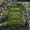 玳莎真丝印花女夏季 弹力双绉高级感收腰短袖桑蚕丝连衣裙  CB35119 商品缩略图3